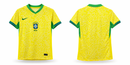 Camisa Feminina Brasil 2024