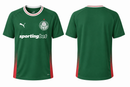 Camisa Masculina Palmeiras Torcedor 2026